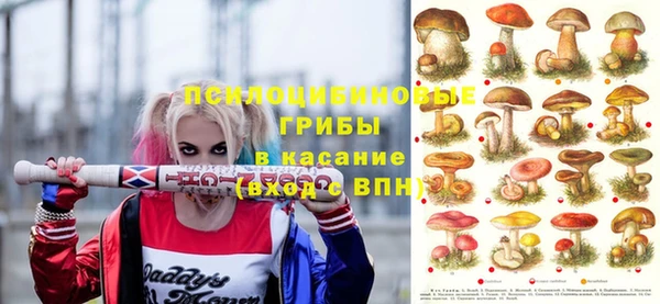 крисы Семилуки